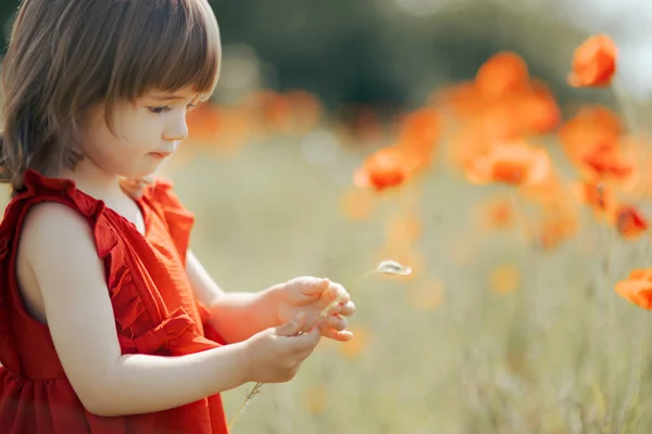 Menina Feliz Brincando Campo Papoilas — Fotografia de Stock