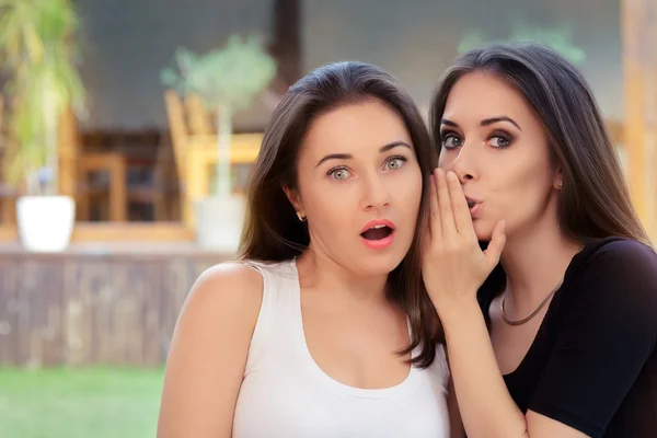 Twee beste vriend meisjes een geheime fluisterende — Stockfoto