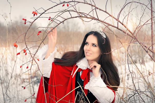 Winterprinzessin mit Hagebuttenzweig — Stockfoto