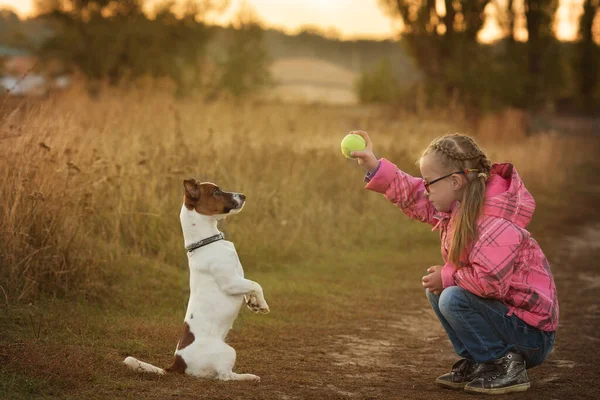 Bella Ragazza Con Sindrome Con Suo Animale Domestico Jack Russell — Foto Stock