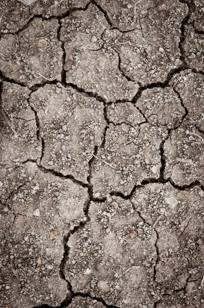 Dry soil — Stock Photo, Image