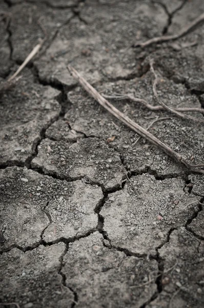 Dry soil — Stock Photo, Image