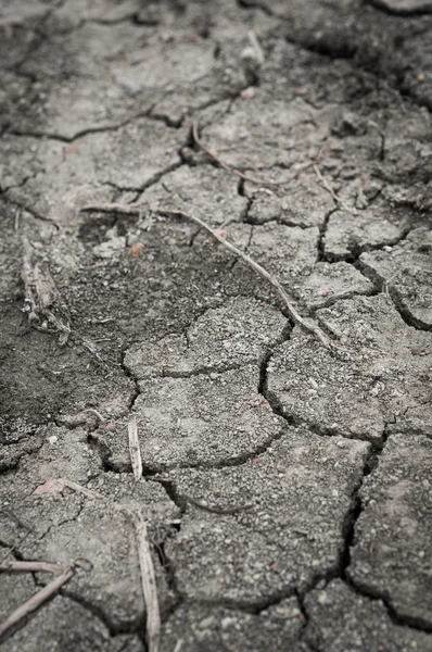 Dry soil — Stock Photo, Image