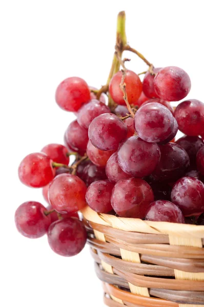 Red grape — Stock Photo, Image