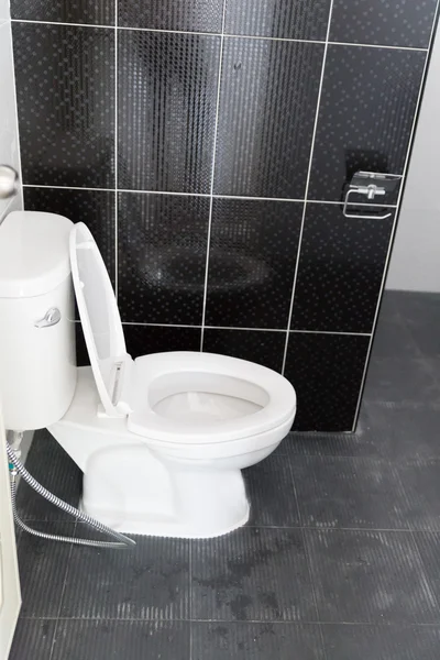 Lavabo floş tuvalet — Stok fotoğraf