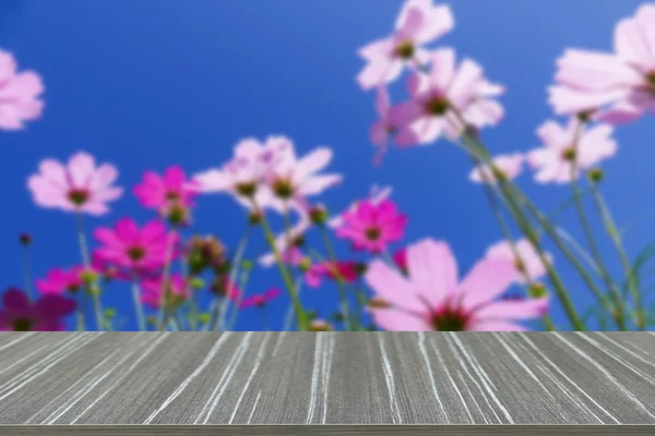 Lege houten tafel met kosmos bloem met blauwe lucht vervagen backgro — Stockfoto