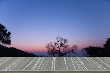 ağaç siluet şafak