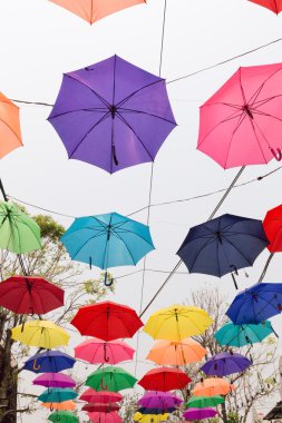 renkli şemsiye ipe asılı