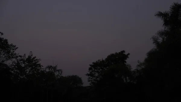 Drzewo góry sylwetka z nieba o świcie — Zdjęcie stockowe