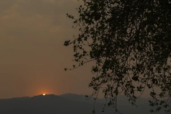 Silhouette d'arbre et coucher de soleil sur la colline de montagne — Photo