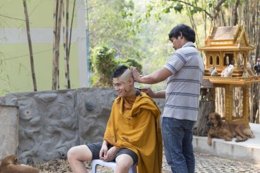 adam adamın saç Budist keşiş koordinasyon töreni önce tıraş