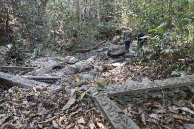 Doi Suthep Milli Parkı ormanında trekking fiyatı
