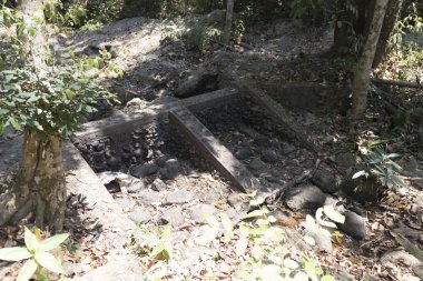 Weir kuraklık ormanında