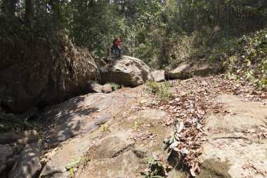 Doi Suthep Milli Parkı ormanında trekking fiyatı