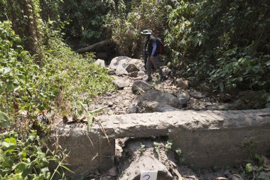 Doi Suthep Milli Parkı ormanında trekking fiyatı