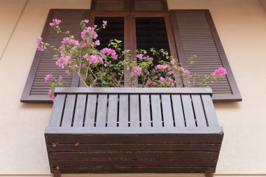 saksı ile dekorasyon ahşap pencere