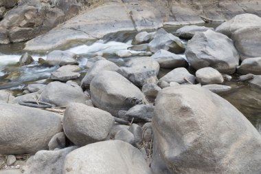 taş dere içinde su akışı