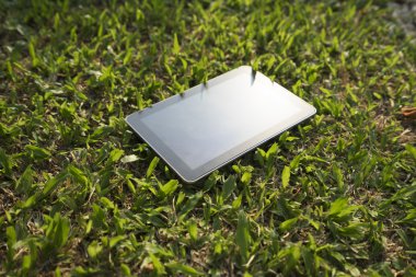 çimenlerin üzerinde dijital tablet