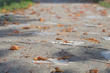 geçit Park üzerinde çiçek