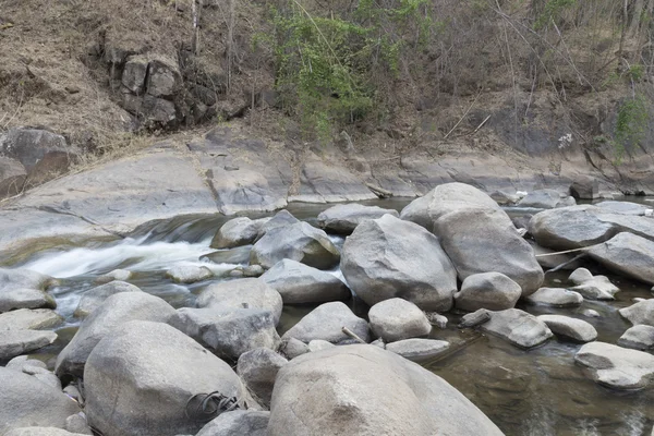 taş dere içinde su akışı