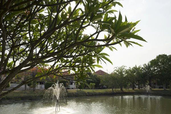 Fountain in pond in park — Stock Photo, Image