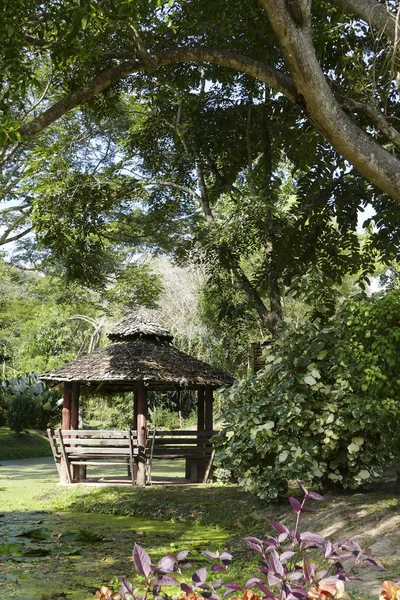 Gazebo de madeira ao lado da lagoa — Fotografia de Stock