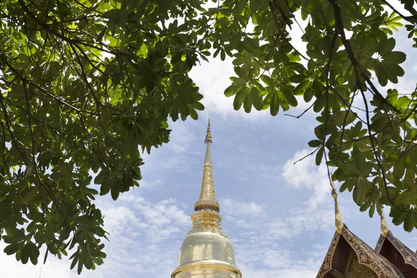 Pagoda de oro y santuario en templo buddhism con marco de hojas —  Fotos de Stock