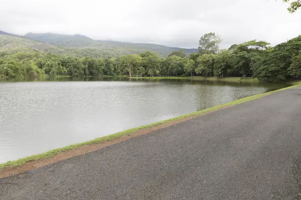 公園の池の横にある道路 — ストック写真