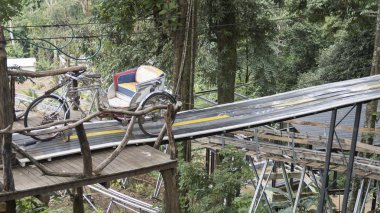 üç tekerlekli bisiklet orman içinde ahşap köprü