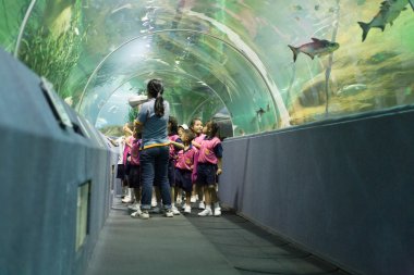 insanlar balık su Tüneli'nde izle