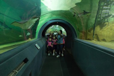 insanlar balık su Tüneli'nde izle