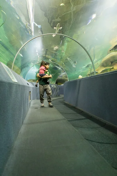 Les gens regardent les poissons dans le tunnel aquatique — Photo