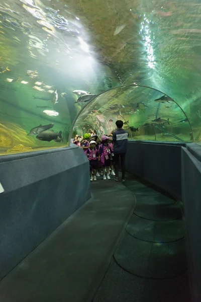La gente ve peces en el túnel acuático — Foto de Stock