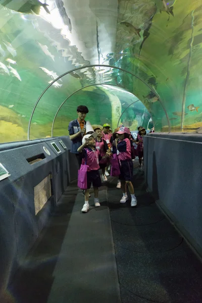 As pessoas observam peixes no túnel aquático — Fotografia de Stock