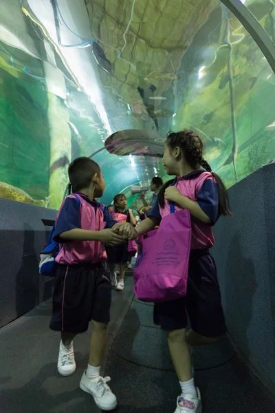 Les gens regardent les poissons dans le tunnel aquatique — Photo