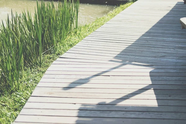 Wooden Walkway Green Leaves Garden Park — Stock Photo, Image