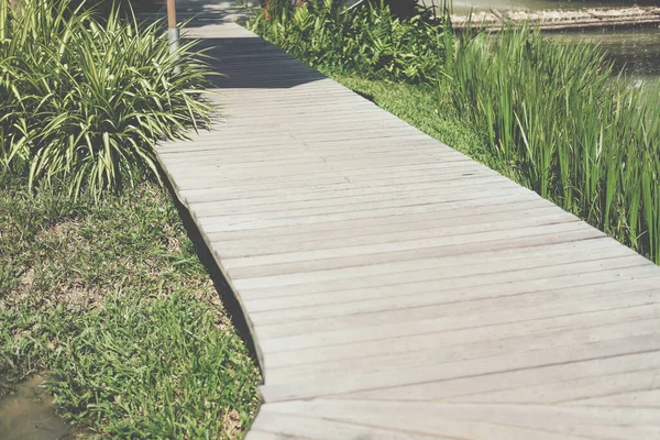 Grünpflanzenblätter Schmücken Holzsteg Gartenpark — Stockfoto