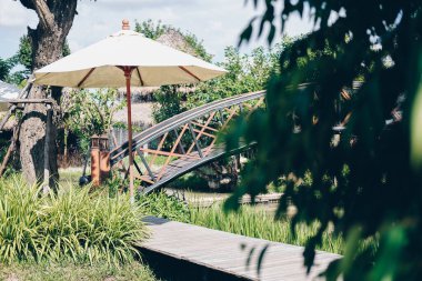 Bahçe parkındaki ahşap geçidin yanında yeşil yapraklar.