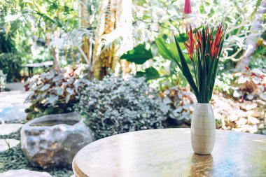 Bahçedeki süs için vazodaki cennet kuşu.