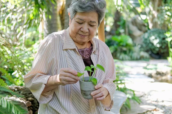 亚洲老年人老年老年妇女在花园检查植物 — 图库照片