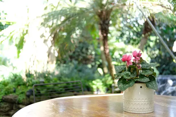 Rosa Blumenstrauß Keramikvase Zur Dekoration Garten — Stockfoto