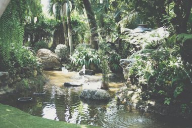 Bahçe parkındaki göletin yanında yeşil yapraklar var.