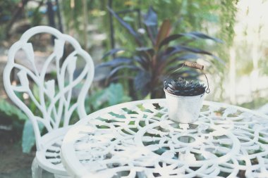 Bahçe parkındaki masa üzerindeki saksı süslemesinde mor yapraklar.