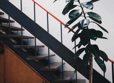 Ahşap merdivenler ve süslü yeşil yapraklar ağaç diker.