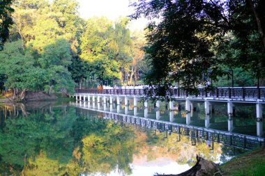 Chiang Mai, Tayland - 19 Kasım 2020: Budist keşiş ve insanlar Chiang Mai, Tayland 'daki Chiang Mai Üniversitesi' nde farkındalık meditasyonu için yürüyorlar.