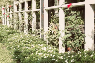 Bahçede ağaç yetiştirmek için ahşap çardak pergola