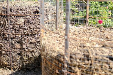 organik gübre yığını. tarım endüstrisinde toprak ekimi için gübre üretimi