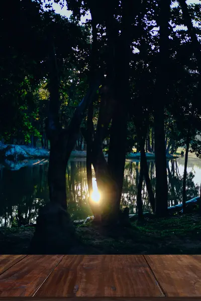 Luz Del Sol Mañana Lago Estanque Parque Naturaleza Tranquila Paisaje — Foto de Stock