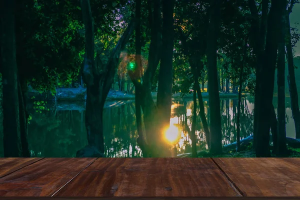 Luz Del Sol Mañana Lago Estanque Parque Naturaleza Tranquila Paisaje — Foto de Stock