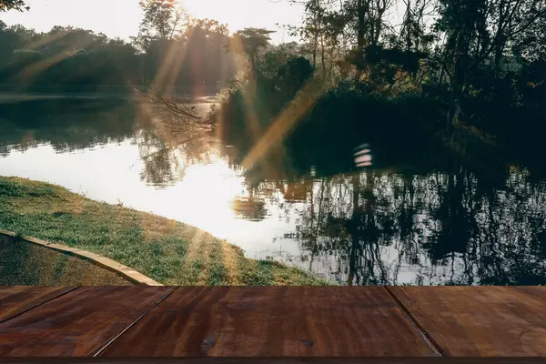 Morgensonne Auf Dem Teich Park Ruhige Naturlandschaft — Stockfoto